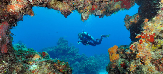 photoEscudo_Cozumel_cozumelgeneral