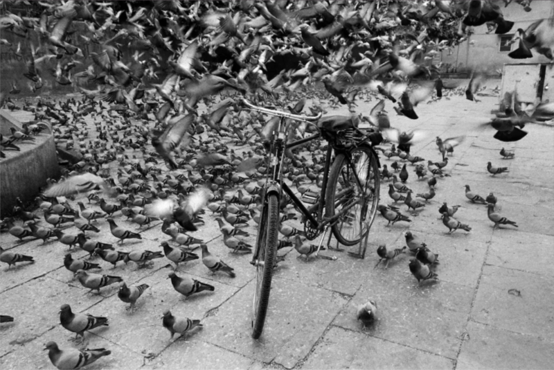 Graciela Iturbide - Pájaros 11