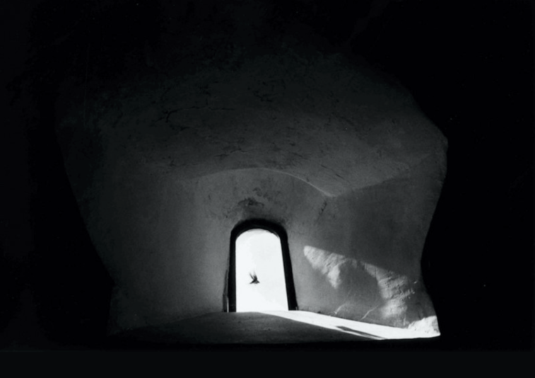 Graciela Iturbide - Pájaros 12