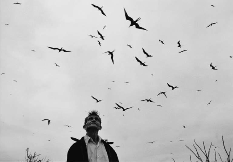 Graciela Iturbide - Señor de los pájaros