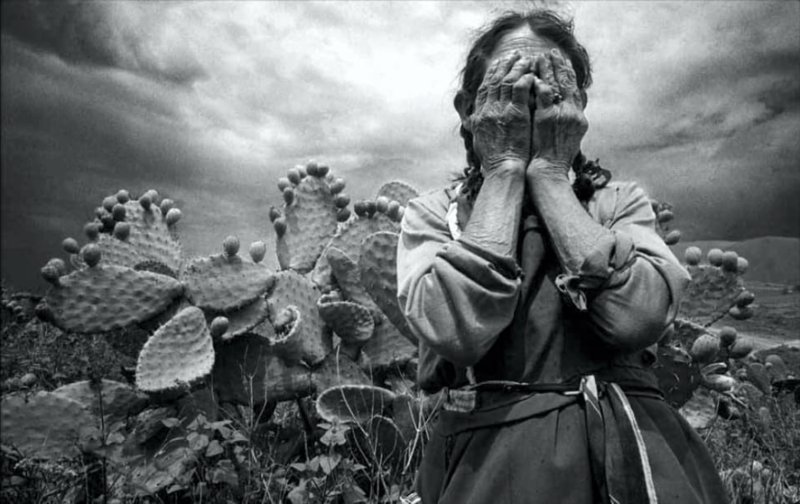 Graciela Iturbide - manos cara cactus